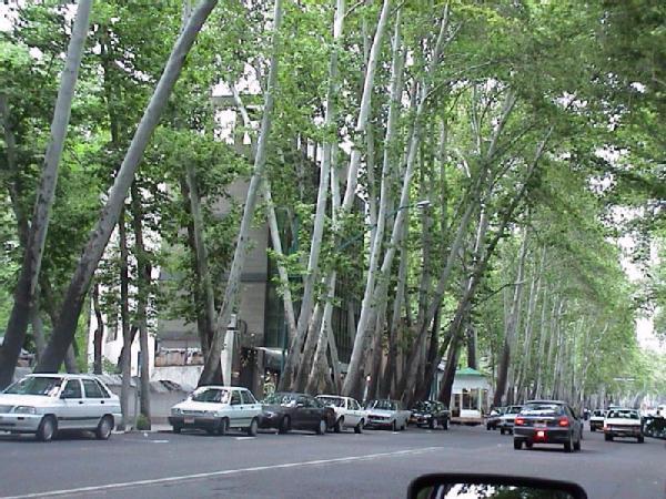 Vali Asr Blvd (Former Pahlavi Blvd)