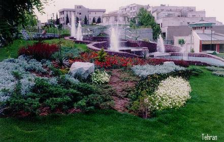 Residential Neighborhod - Tehran